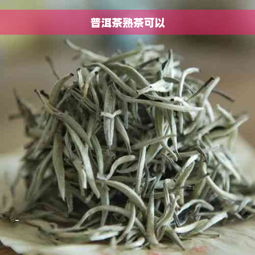 普洱茶熟茶可以