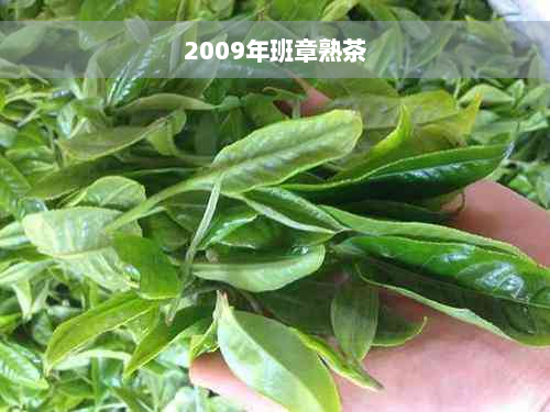 2009年班章熟茶