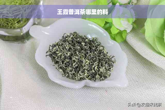 王霞普洱茶哪里的料