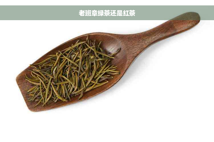 老班章绿茶还是红茶