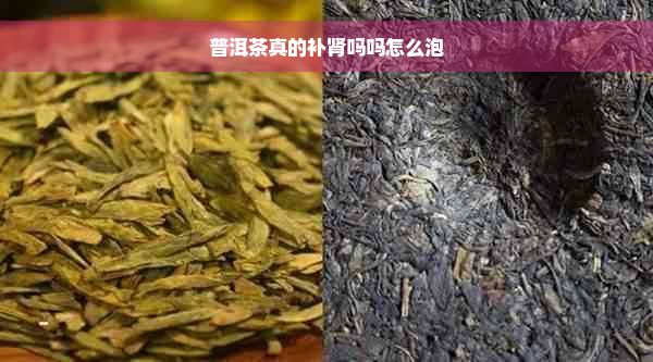 普洱茶真的补肾吗吗怎么泡