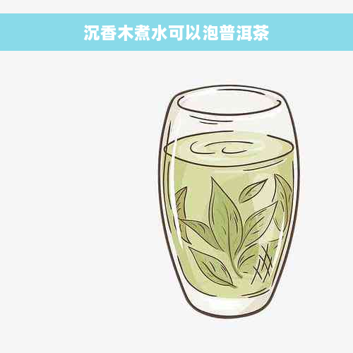 沉香木煮水可以泡普洱茶