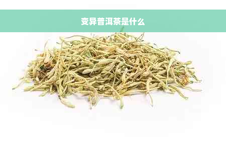 变异普洱茶是什么