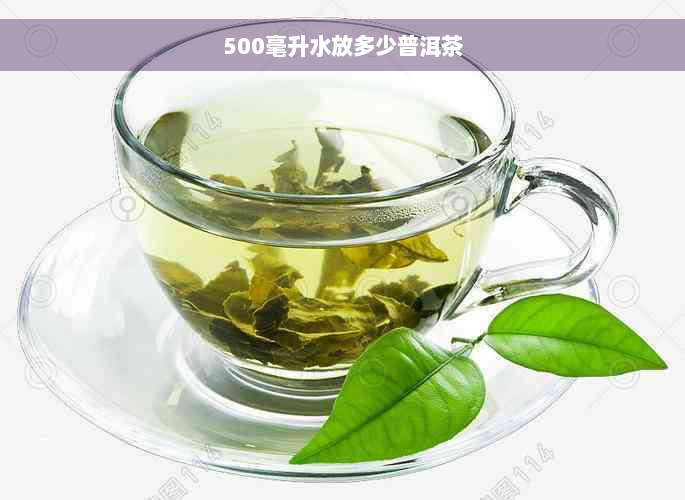 500毫升水放多少普洱茶