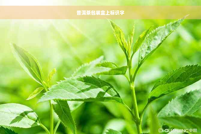 普洱茶包装盒上标识字