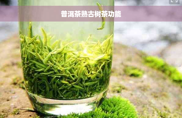 普洱茶熟古树茶功能