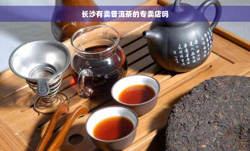 长沙有卖普洱茶的专卖店吗