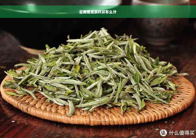 云南普洱茶好坏怎么分