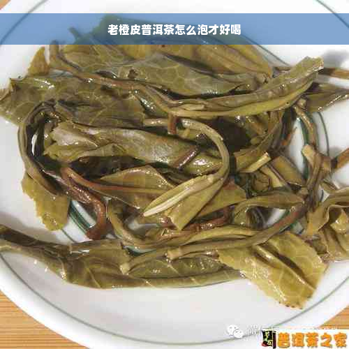 老橙皮普洱茶怎么泡才好喝