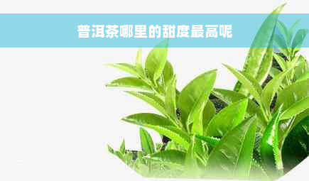 普洱茶哪里的甜度更高呢