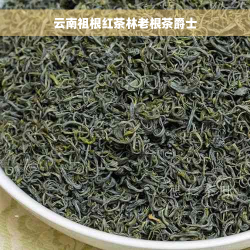 云南祖根红茶林老根茶爵士