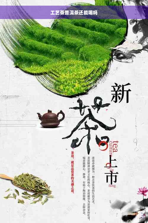 工艺茶普洱茶还能喝吗