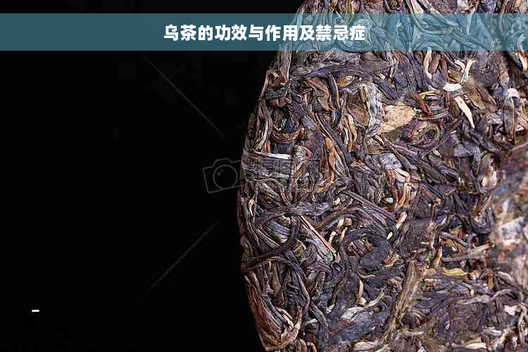 乌茶的功效与作用及禁忌症