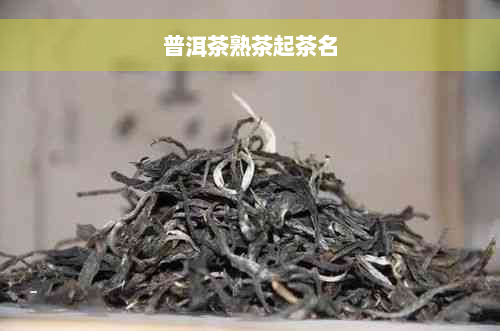 普洱茶熟茶起茶名