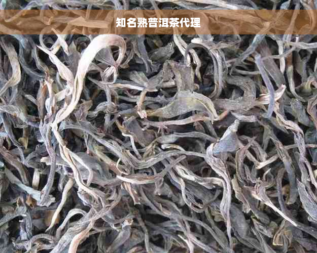 知名熟普洱茶代理