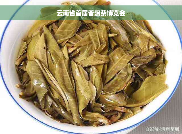 云南省首届普洱茶博览会