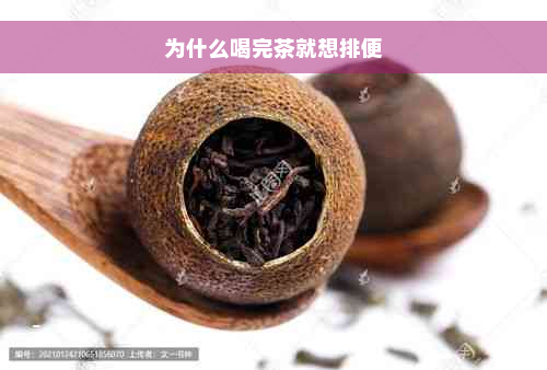 为什么喝完茶就想排便