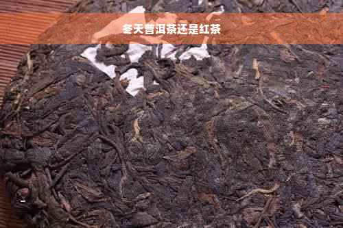 冬天普洱茶还是红茶