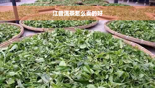 江普洱茶怎么卖的好