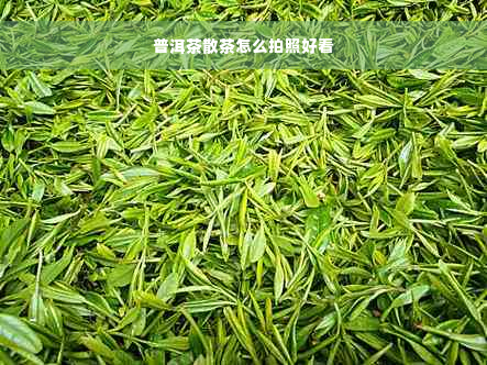 普洱茶散茶怎么拍照好看