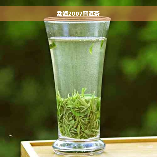 勐海2007普洱茶