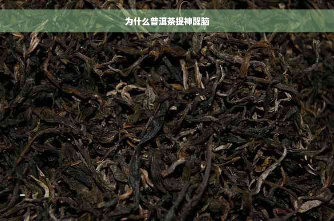 为什么普洱茶提神醒脑