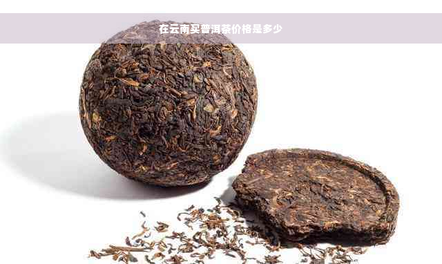 在云南买普洱茶价格是多少