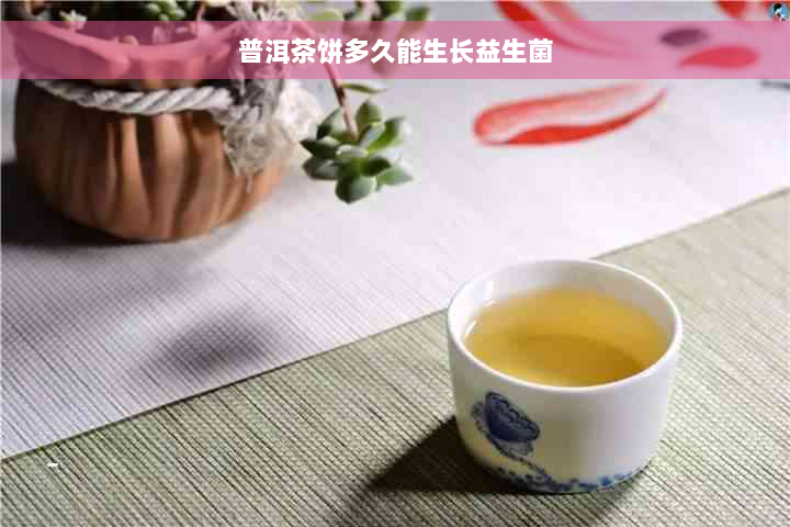 普洱茶饼多久能生长益生菌