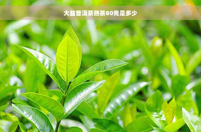 大益普洱茶熟茶80克是多少