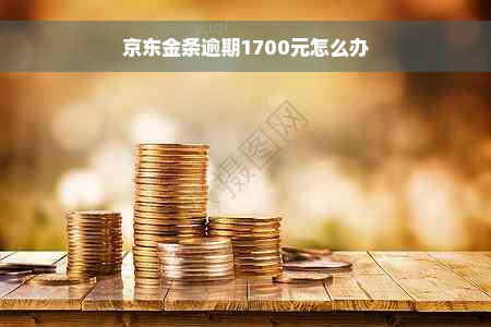 京东金条逾期1700元怎么办