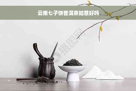 云南七子饼普洱茶如意好吗