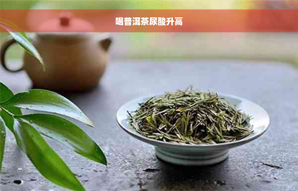 喝普洱茶尿酸升高