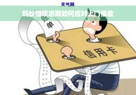 蚂蚁借呗逾期如何应对上门催收