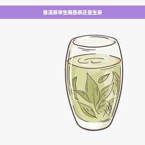 普洱茶学生喝熟茶还是生茶