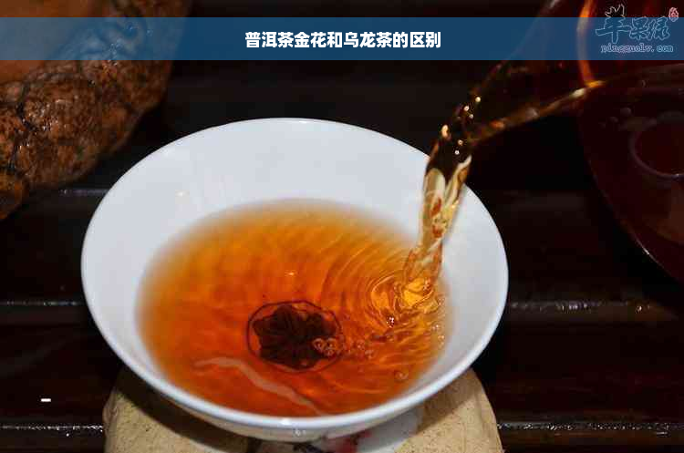 普洱茶金花和乌龙茶的区别