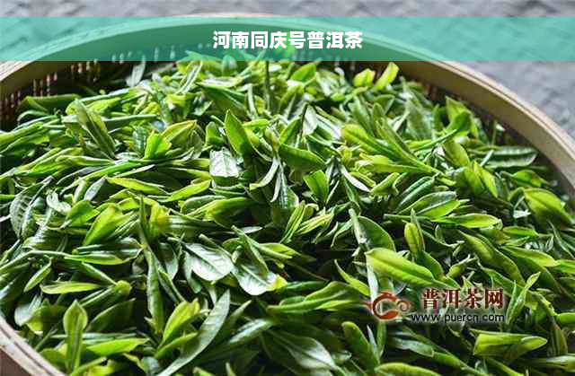 河南同庆号普洱茶