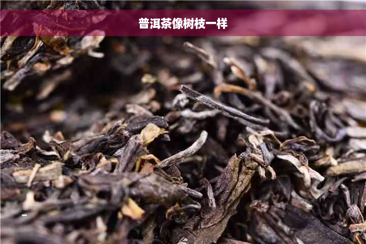 普洱茶像树枝一样