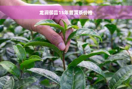 龙润御品15年普洱茶价格