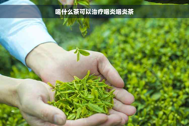 喝什么茶可以治疗咽炎咽炎茶