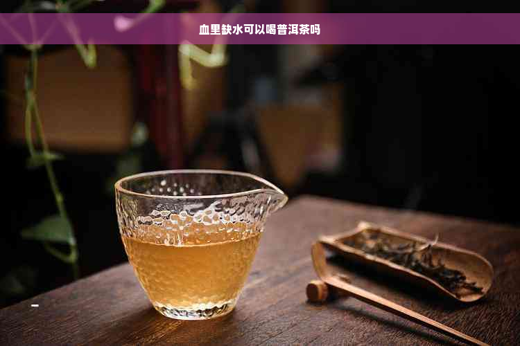 血里缺水可以喝普洱茶吗