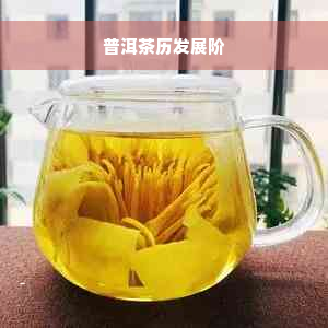 普洱茶历发展阶