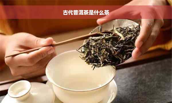 古代普洱茶是什么茶