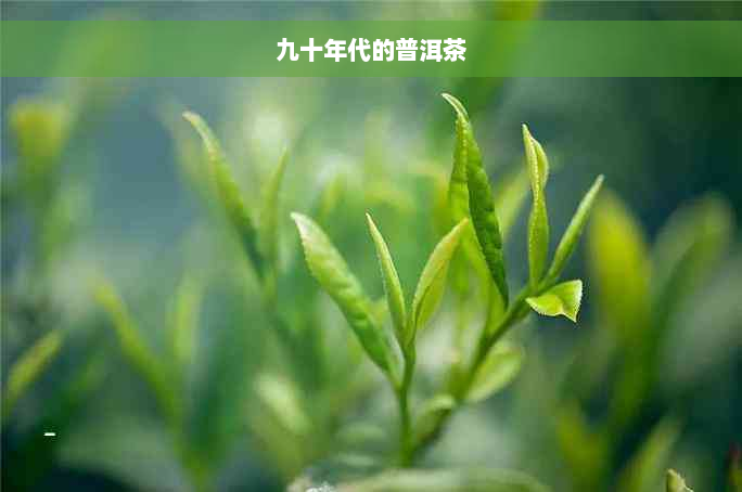 九十年代的普洱茶