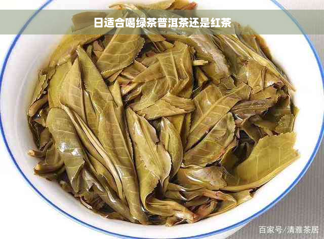 日适合喝绿茶普洱茶还是红茶