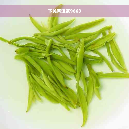 下关普洱茶9663