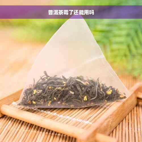 普洱茶霉了还能用吗