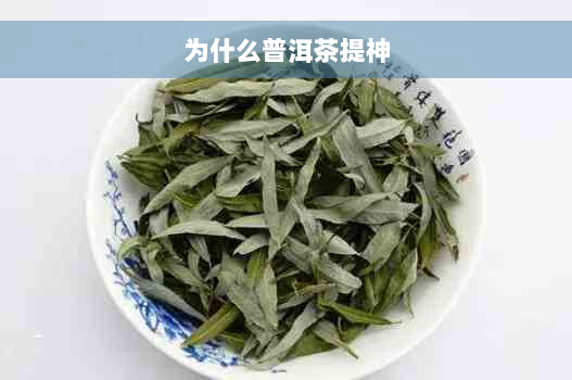 为什么普洱茶提神