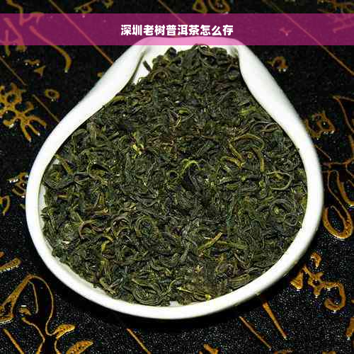 深圳老树普洱茶怎么存