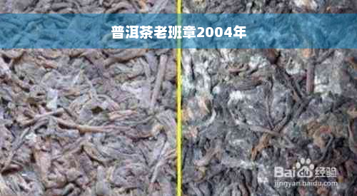 普洱茶老班章2004年