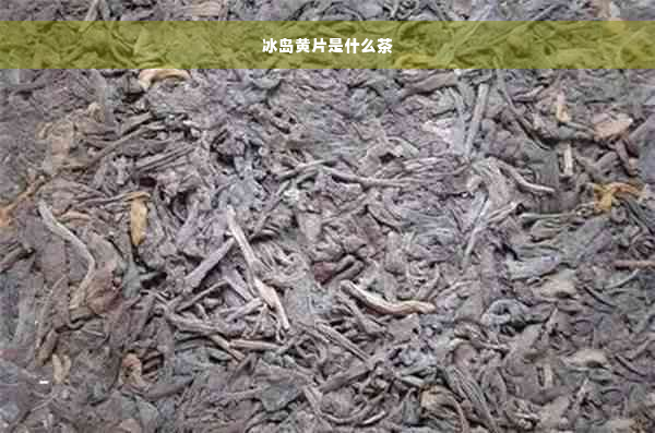 冰岛黄片是什么茶